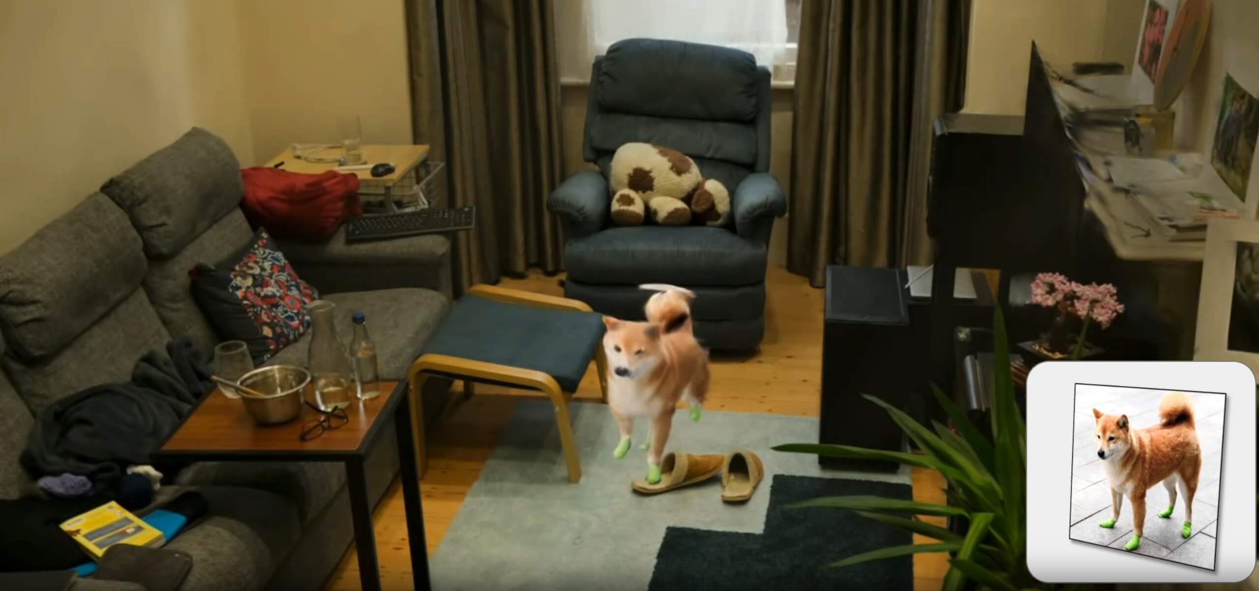 How UNIST DogRecon Turns One Photo Into a Moving 3D Dog