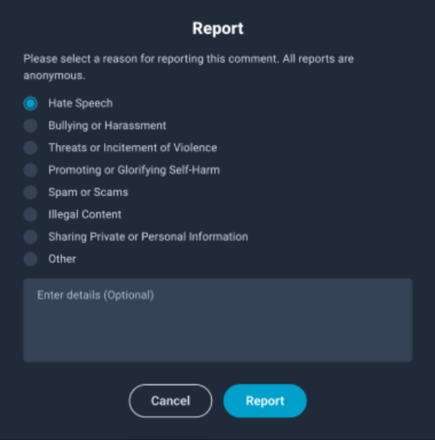 Report dialog showing category options and an optional details field on a VIVERSE world page. 